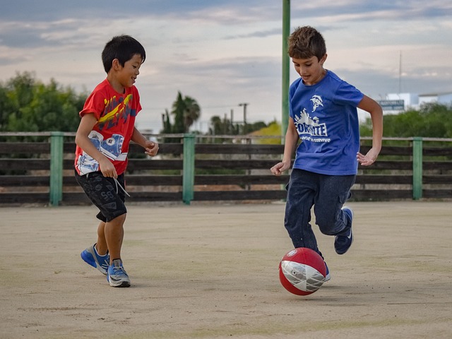 不得不提社 不得不提社