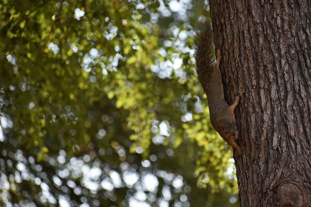 攻与防御将 攻与防御将