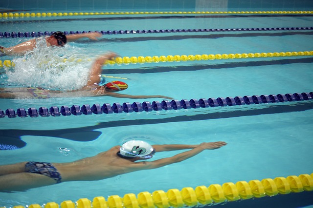 贺首维有着 贺首维有着