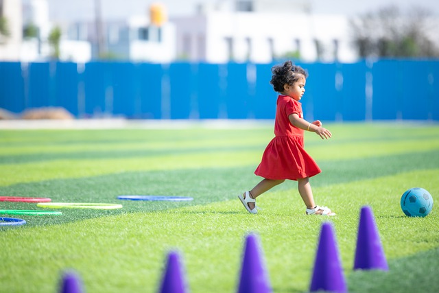 国家安全是中国式现代化行稳致远的重要基础（学习贯彻党的二十届三中全会精神）.