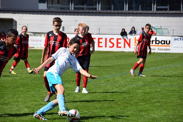 养将极大地 养将极大地