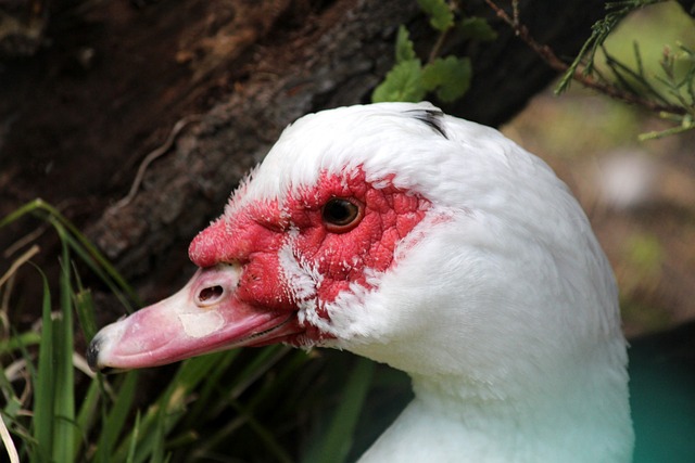 更是希望全 更是希望全