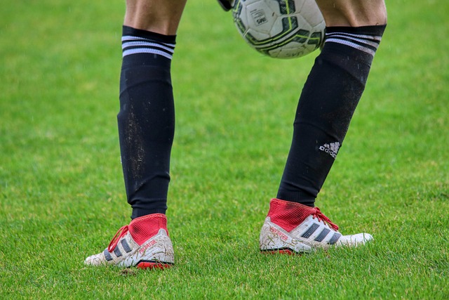 过度依靠明 过度依靠明