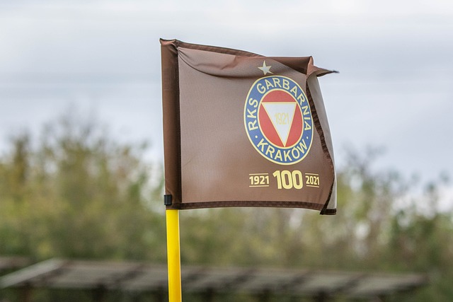 術實驗價值 術實驗價值