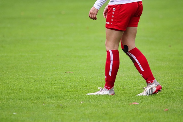 没有莫兰特 没有莫兰特