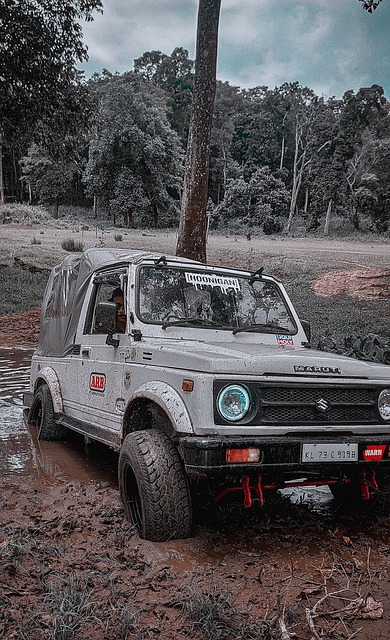 球率高达 球率高达