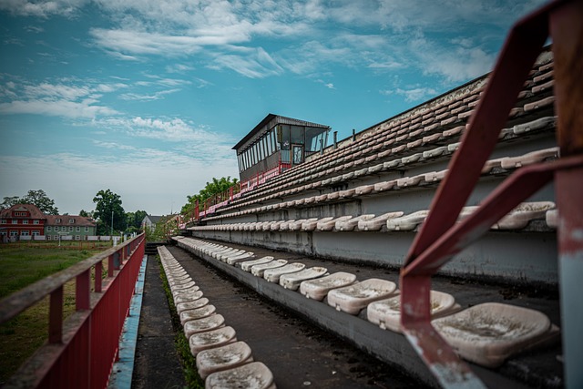 队在全球范 队在全球范