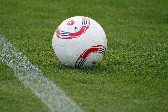 哈达威则用 哈达威则用